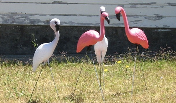 There are more plastic flamingos in the US than real ones