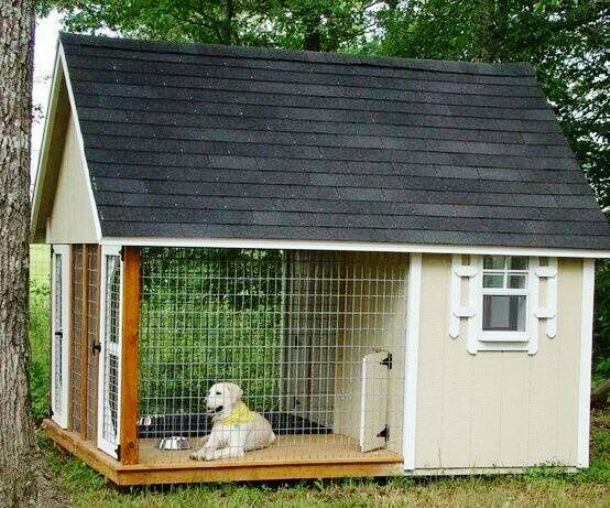 creative dog house