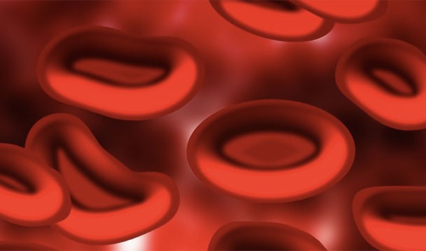 Females' blood contains more water and about 20% less red cells.