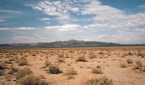 More people in deserts die of drowning than die of dehydration