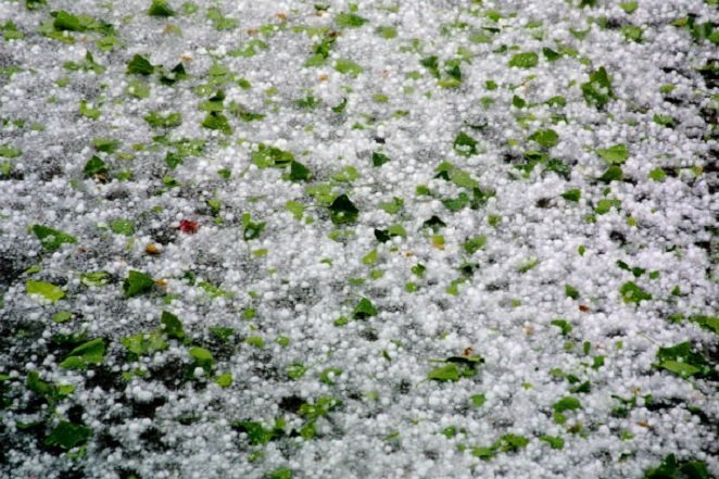 Hailstorm-commons.wikimedia.org_