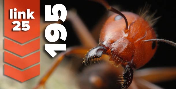 Link25 (195) – The Crazy Leafcutter Ant Bite Edition