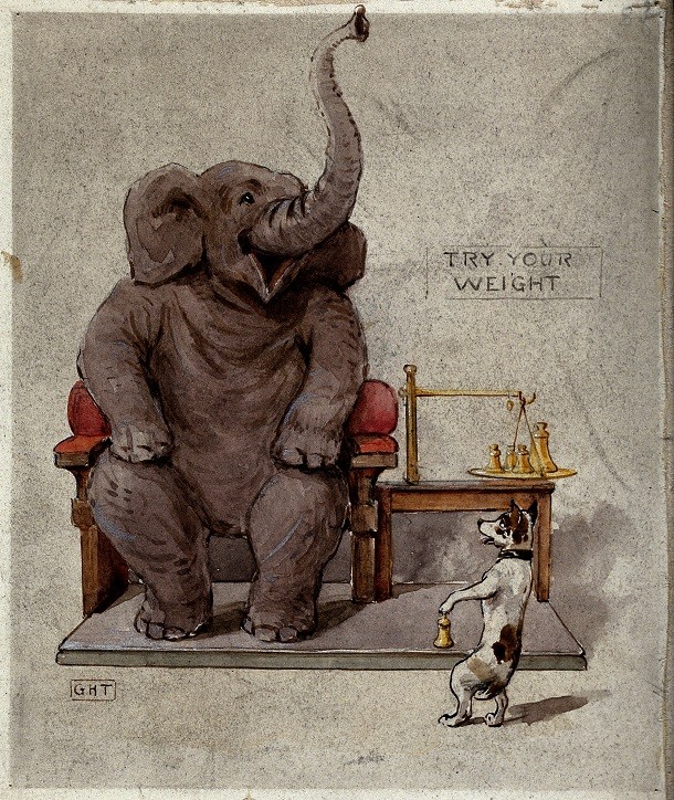 A_dog_weighing_an_elephant