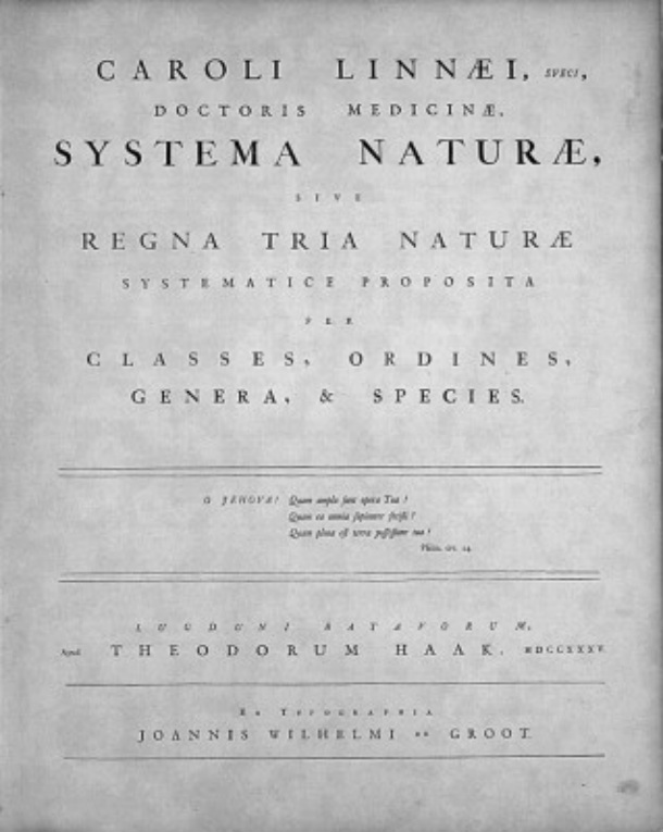 Linne system naturae