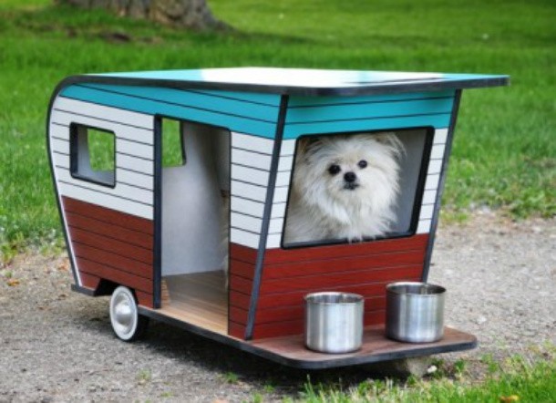 dog camper
