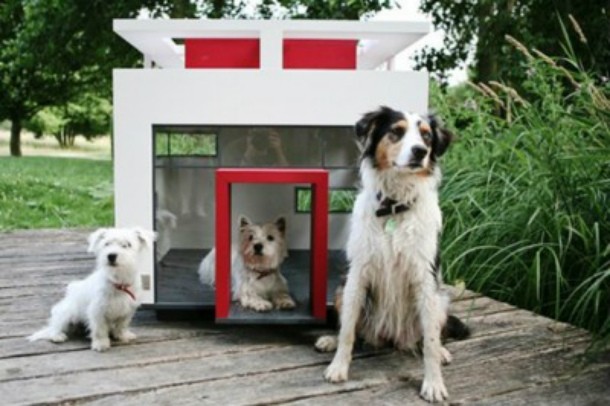 creative dog house