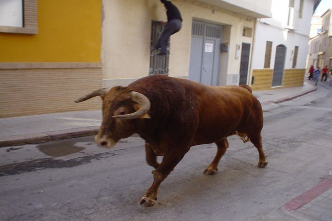 Running_of_the_bulls_in_El_Puig