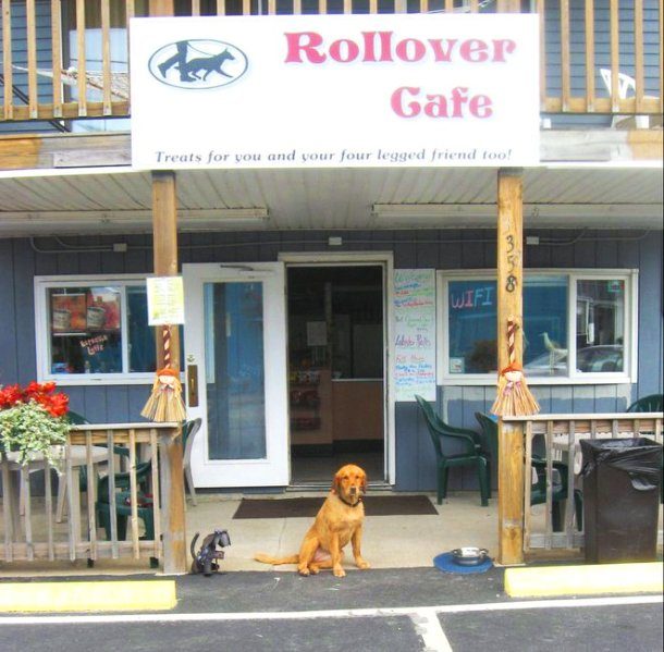 Rollover Café, Wells, Maine