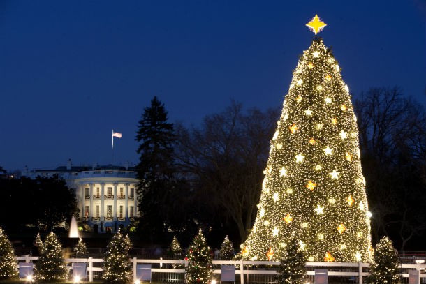 white_house_and_the_national_christmas_tree_in_washington_d