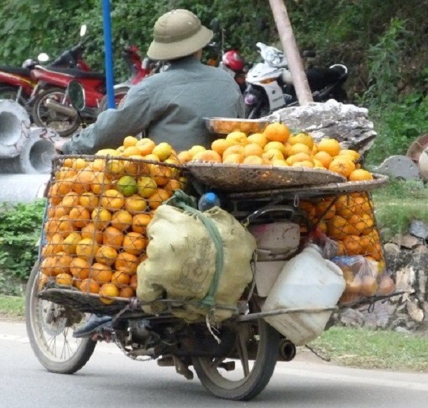 oranges on motorbike