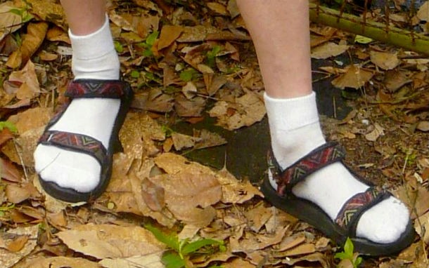 sandals_worn_wth_white_ankle_socks