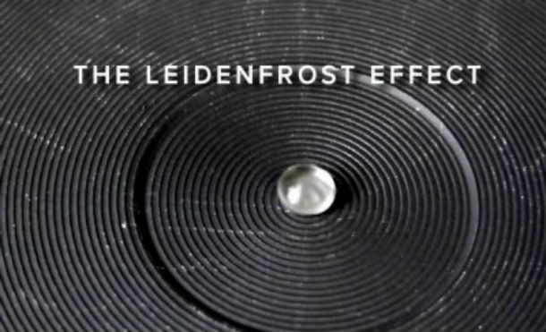 The Leidenfrost Effect