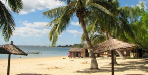 A beach with palm trees and a hut