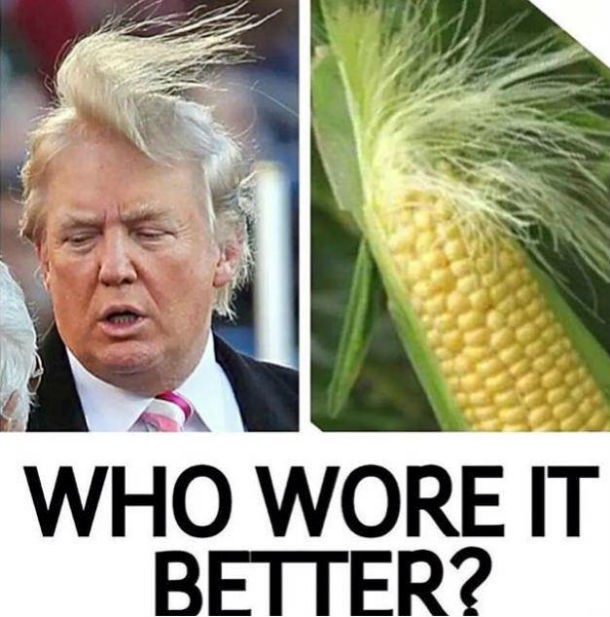 trump-corn