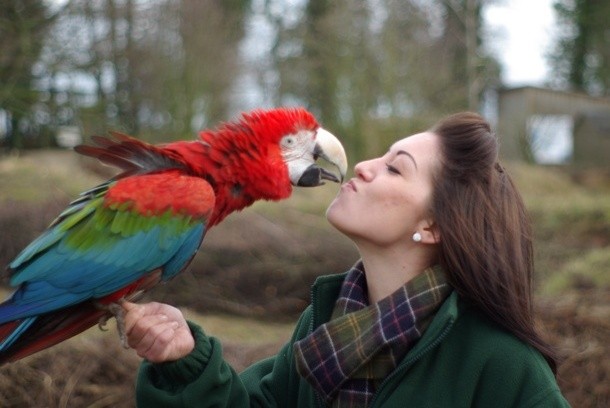 girl and parrot
