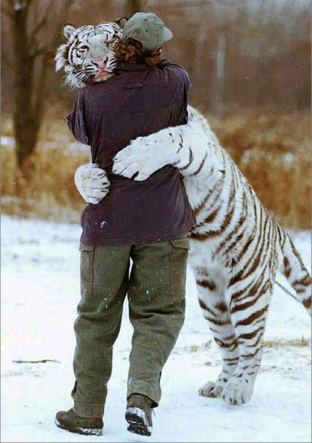 man and tiger