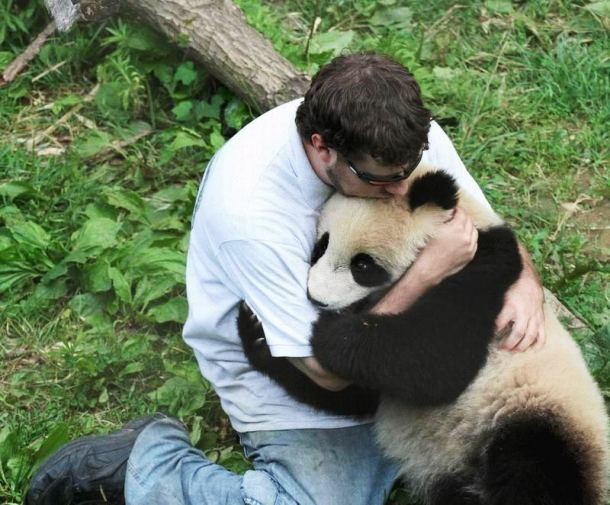 man and panda
