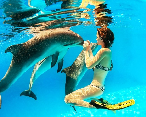 girl and dolphin