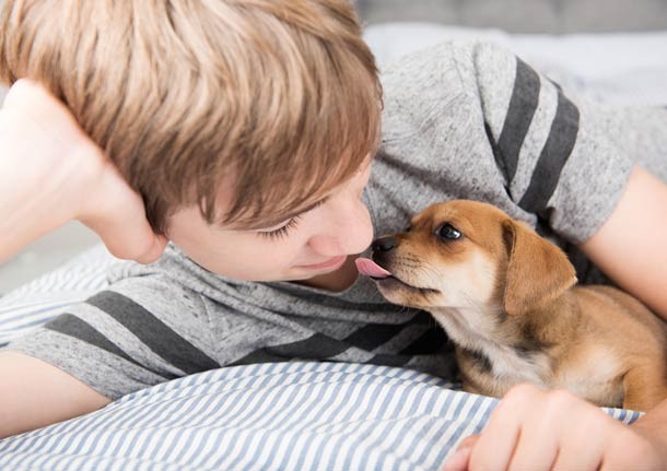 Small pup licking boy's face