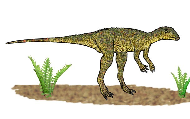 Lesothosaurus 