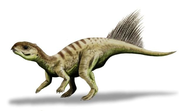 Chaoyangsaurus 