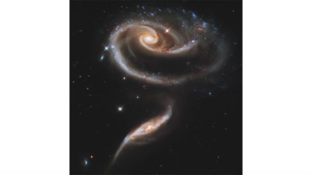 A "Rose" Made of Galaxies Highlights Hubble's 21st Anniversary