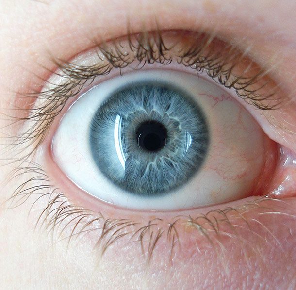 A_blue_eye