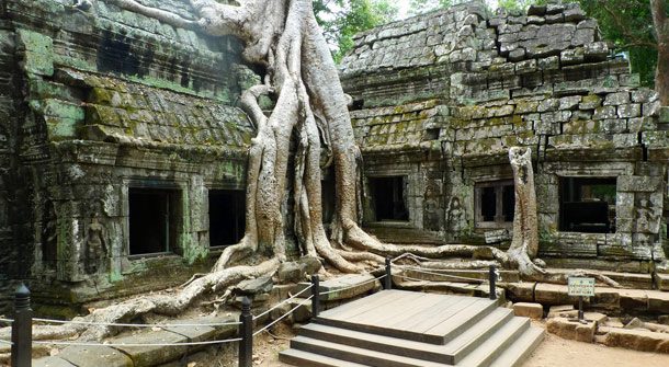 Ancient ruins in Ta Prohm or Rajavihara Temple at Angkor, Siem Reap, Cambodia.