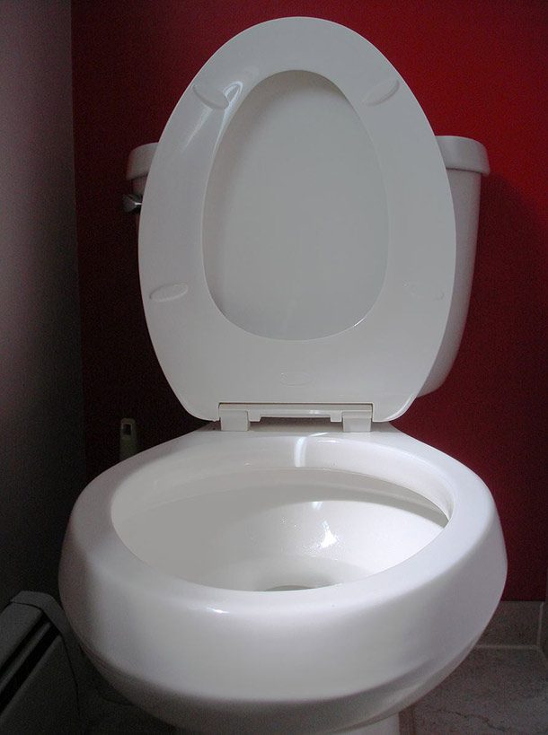 Toilet_seat_up