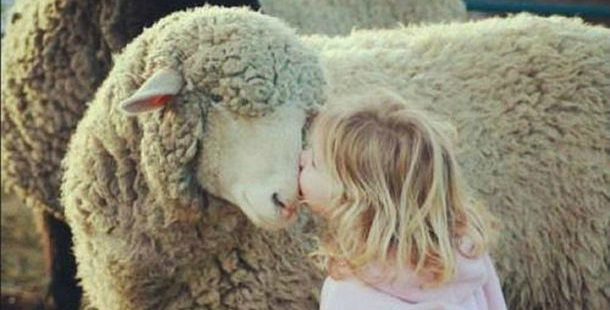 25 Photos That Show The Love Between Animals And People