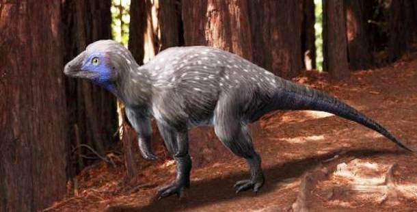 25 Ancient Creatures That Might Not Have Been That Scary