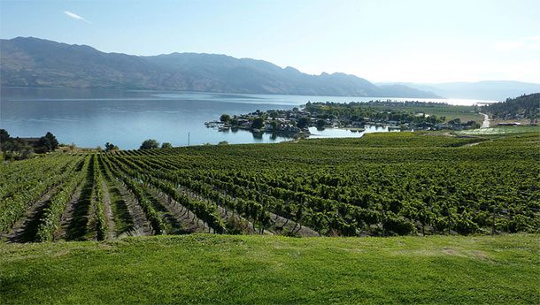 Okanagan wine valley