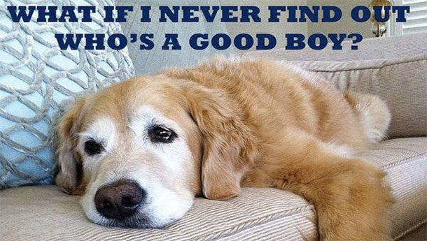 what if i never find out who's a good boy?