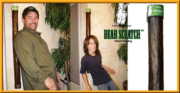Bear Scratch