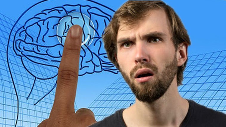 A person pointing at a drawing of a brain