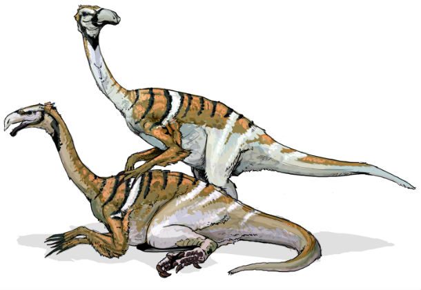 Nanshiungosaurus_dinosaur