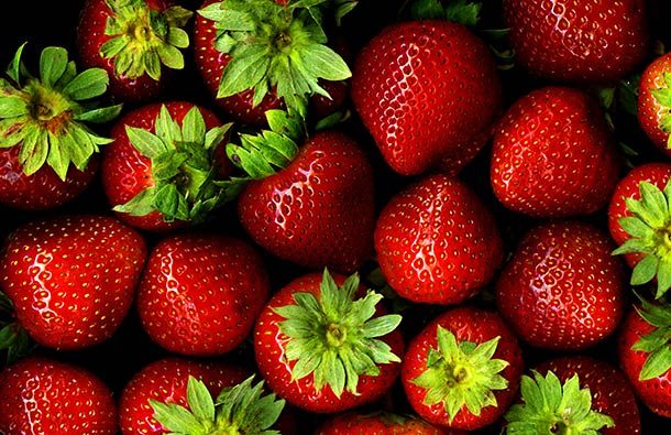 1600px-Strawberries_with_hulls_-_scan