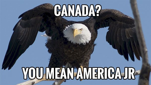 Canada, you mean America Jr