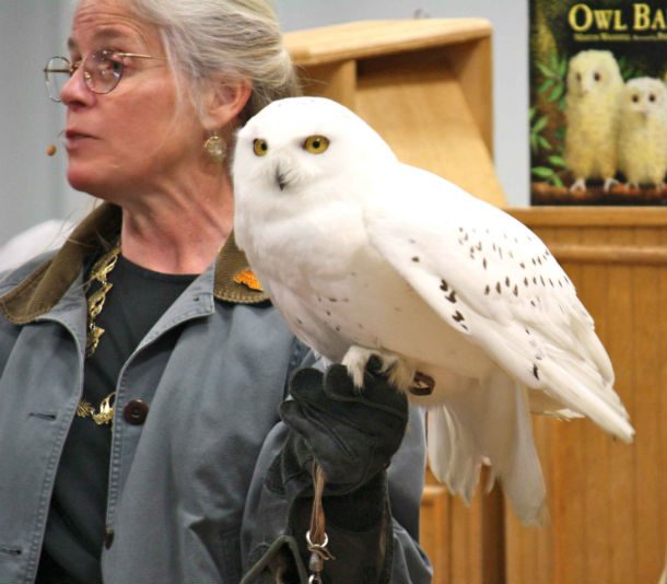 white owl with woman