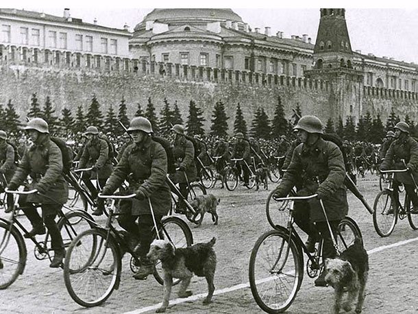 soviet diesel dogs