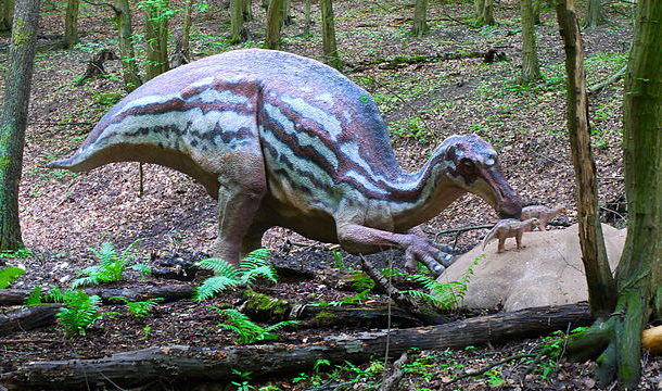Maiasaura,_DinoPark_Košice