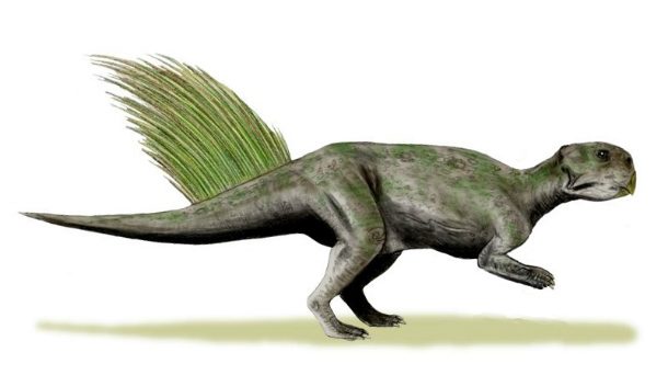 Psittacosaurus_mongoliensis_whole_BW