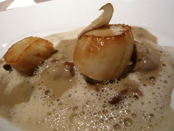 Scallops_with_mushrooms