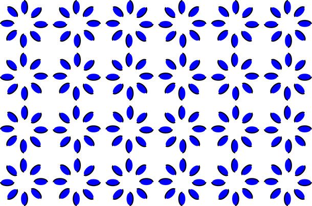 blue flower Illusion