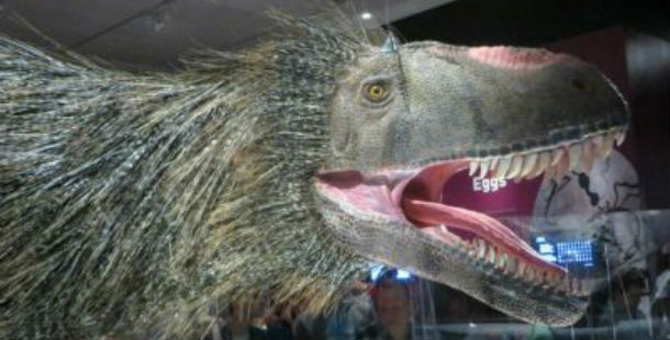 25 most bizarre dinosaurs ever