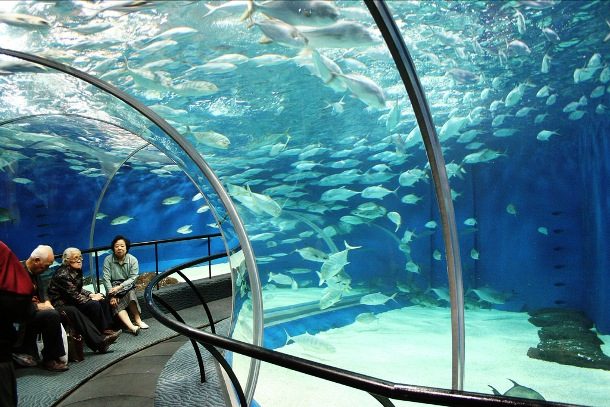 Shanghai Ocean Aquarium, Shanghai, China