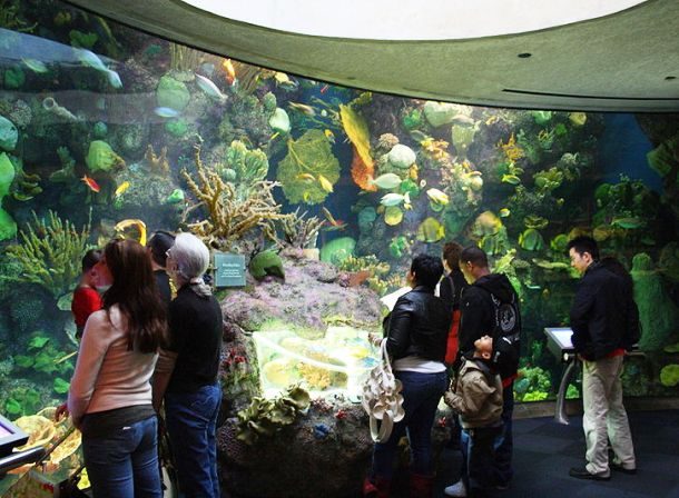Shed Aquarium, Chicago, Illinois