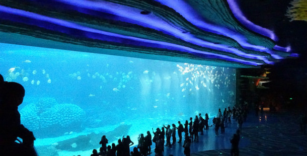 25 largest aquariums in the world