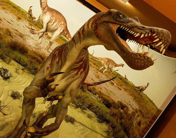 Paleontológica_baryonyx