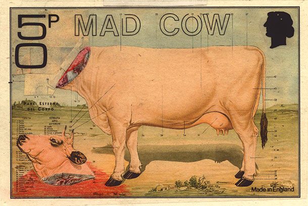 Mad_cow